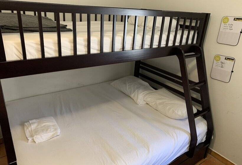 공동 객실, Hostel Brazilian