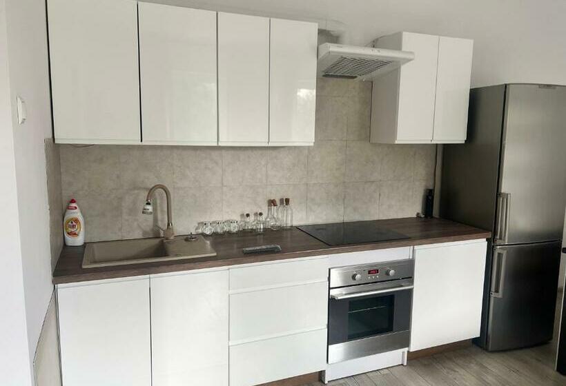 2ベッドルームアパートメント, Green Apartments Katowice Chorzów