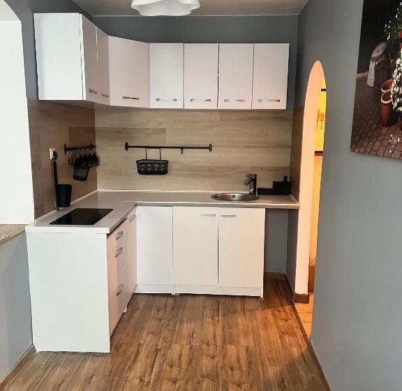 2ベッドルームアパートメント, Green Apartments Katowice Chorzów