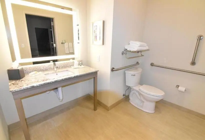 身障者適用キングサイズベッドルーム, Holiday Inn   Kansas City   Northeast, An Ihg