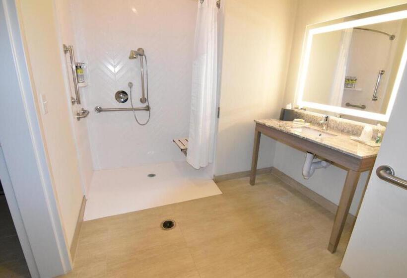 Номер Стандарт Кровать Кинг Адаптированный для Инвалидов, Holiday Inn Kansas City Northeast, An Ihg