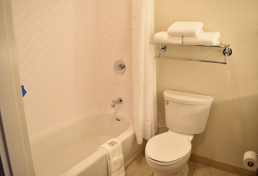 Номер Стандарт, Holiday Inn Kansas City Northeast, An Ihg