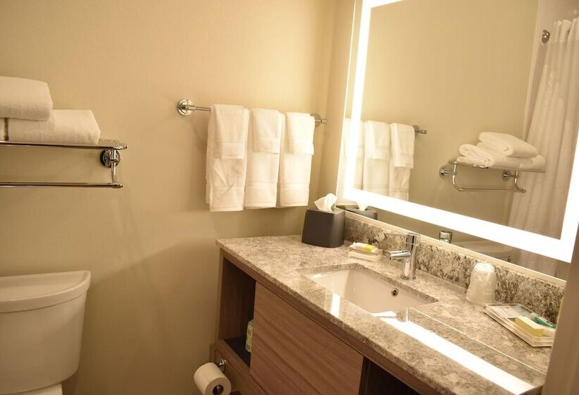 Номер Стандарт, Holiday Inn Kansas City Northeast, An Ihg