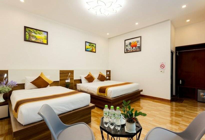 اتاق اجرایی, Tam Coc Sunshine Hostel