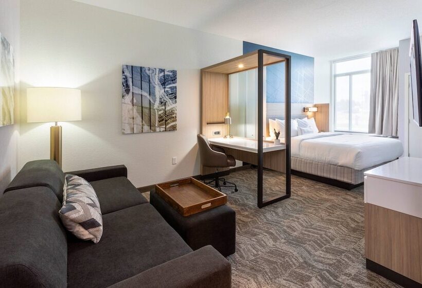 Люкс, Residence Inn Minneapolis Maple Grove/arbor Lakes