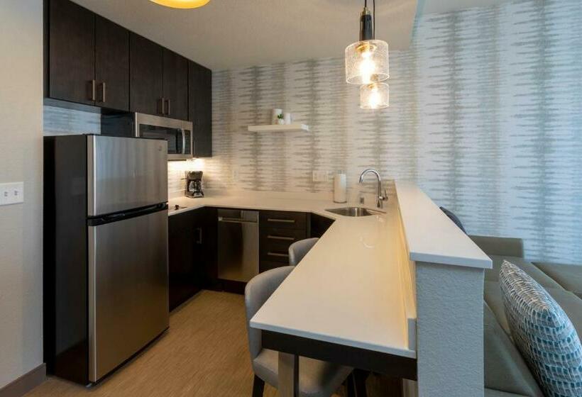 스탠다드 스튜디오 킹침대, Residence Inn Minneapolis Maple Grove/arbor Lakes