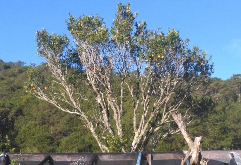 패밀리 룸, Banga An Bnb And Coffee House