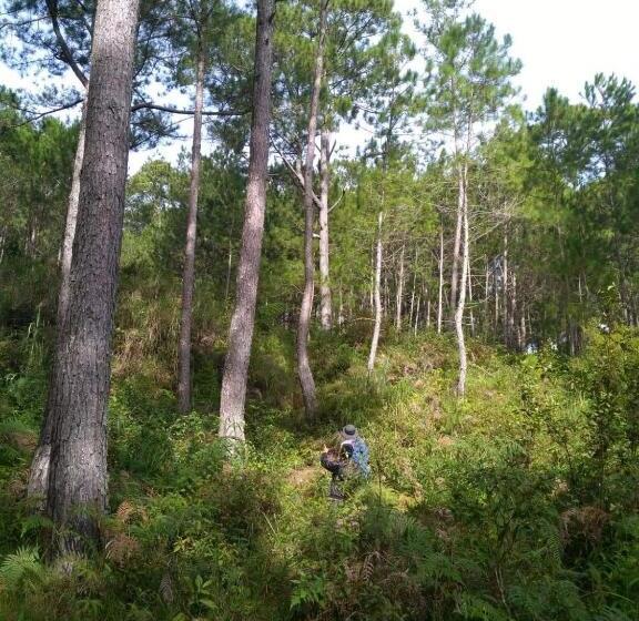 패밀리 룸 산 전망, Banga An Bnb And Coffee House