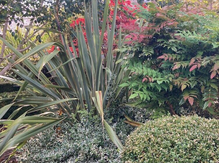 جناح ديلوكس, Hemples Lodge