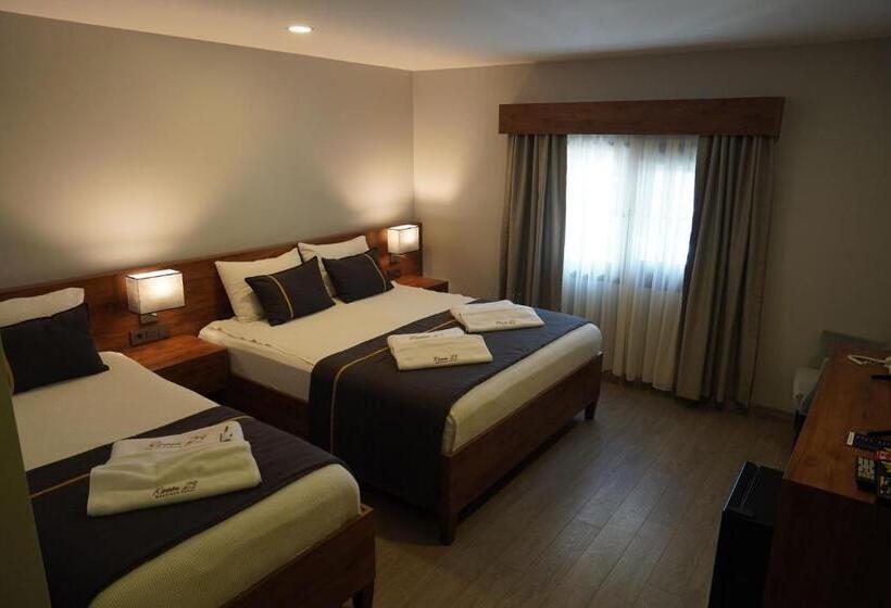 اتاق استاندارد سه نفره, Room 23