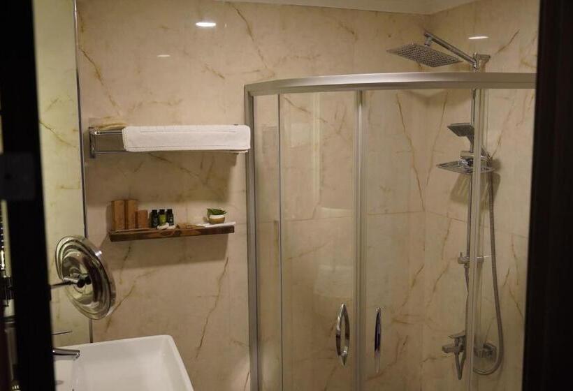 اتاق استاندارد سه نفره, Room 23