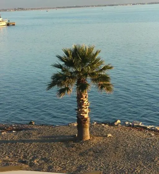 اتاق لوکس, Room 23