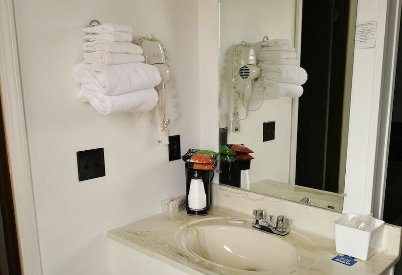 带2个双人床的标准工作室, Driftwood Motel