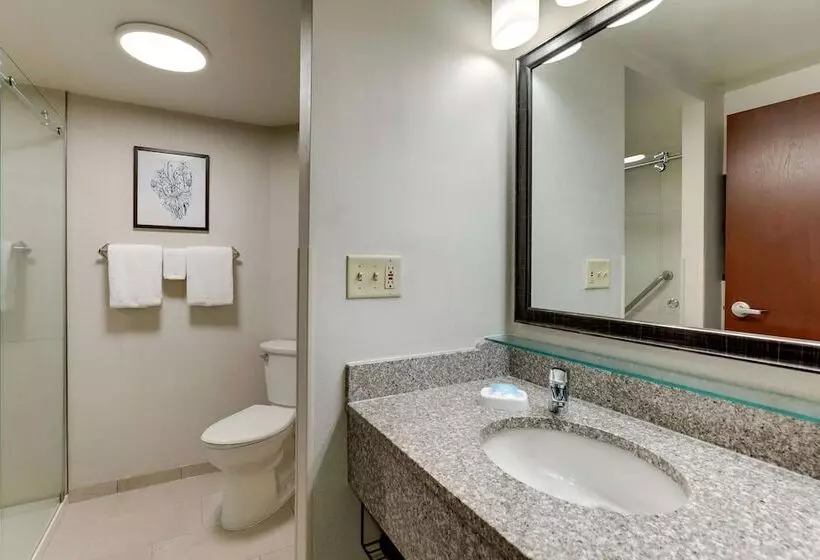 اتاق لوکس, Drury Inn & Suites Marion