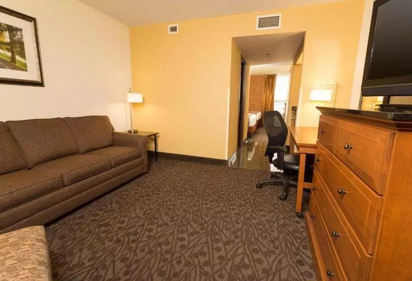 身障者適用スイートルーム, Drury Inn & Suites Frankenmuth