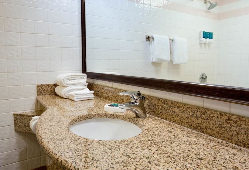 デラックスルーム, Pear Tree Inn St Louis Convention Center