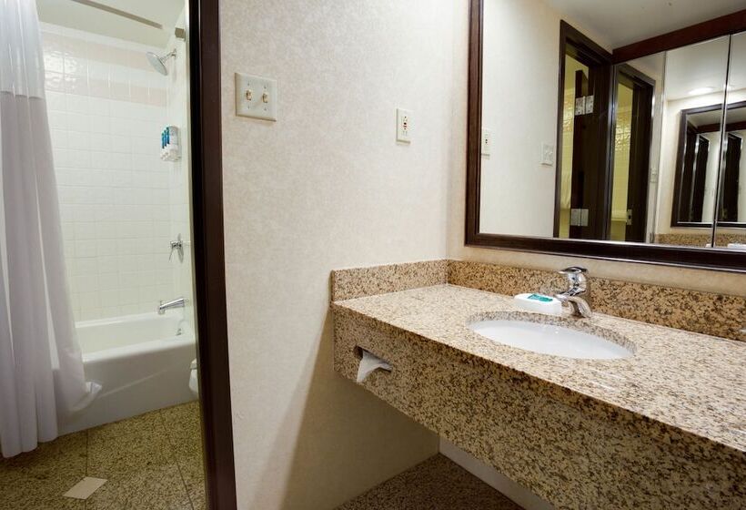 适用于残疾人士的豪华房间, Pear Tree Inn St Louis Convention Center