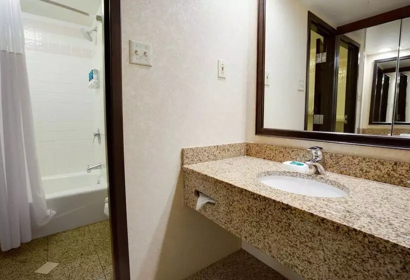 障害者適応デラックスルーム, Pear Tree Inn St Louis Convention Center