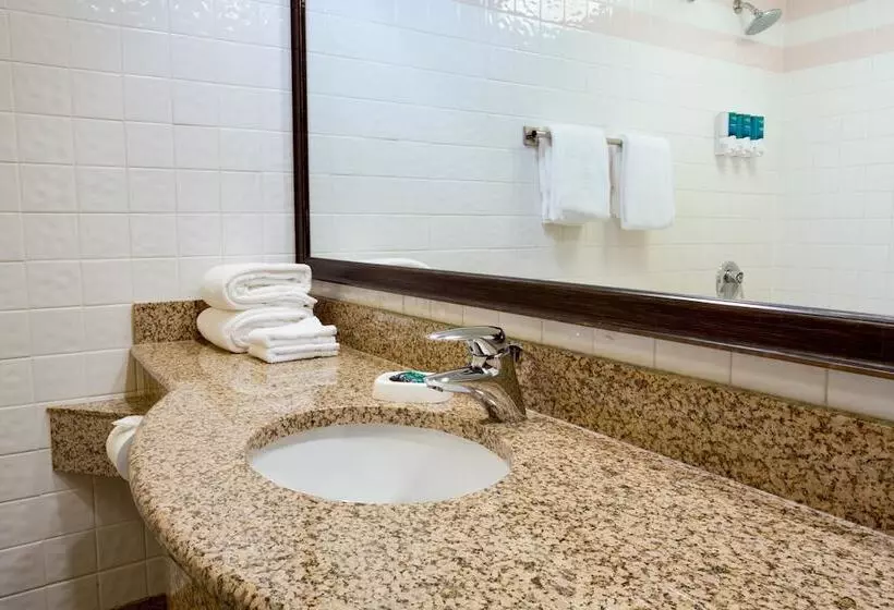 障害者適応デラックスルーム, Pear Tree Inn St Louis Convention Center