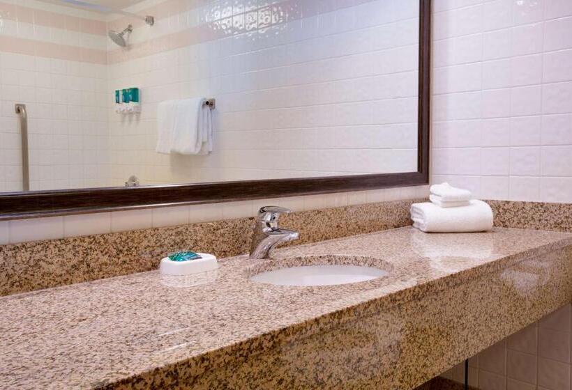 高级套房, Pear Tree Inn St Louis Convention Center