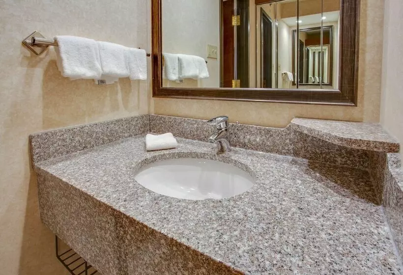 اتاق لوکس, Drury Inn & Suites Terre Haute