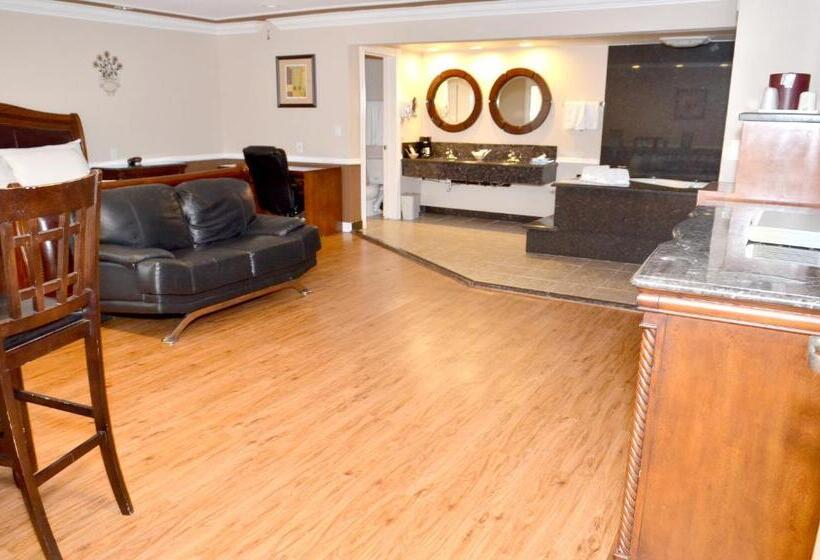 스탠다드 룸 킹사이즈 침대, Dynasty Suites