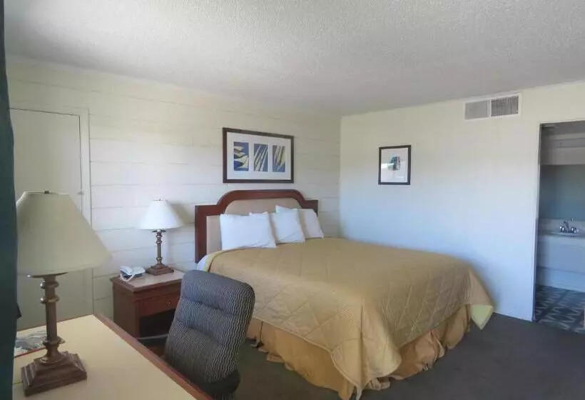 キングサイズベッドのスタンダードルーム, Economy Inn