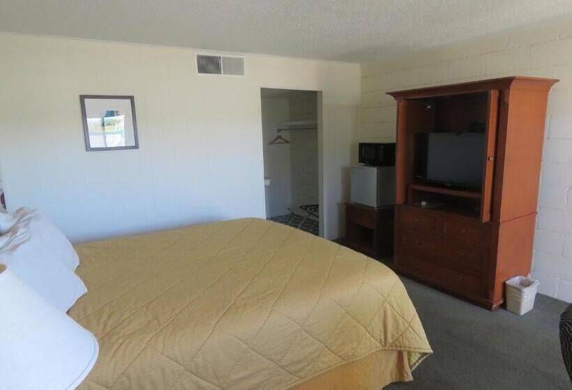 غرفة قياسية سرير كينج, Economy Inn