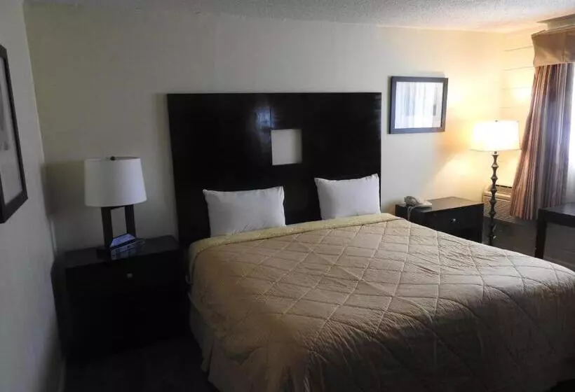 キングサイズベッドのスタンダードルーム, Economy Inn