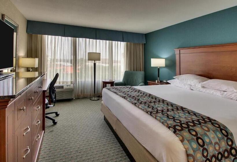 اتاق استاندارد با تخت بزرگ, Sonesta Essential Houston Hobby Airport