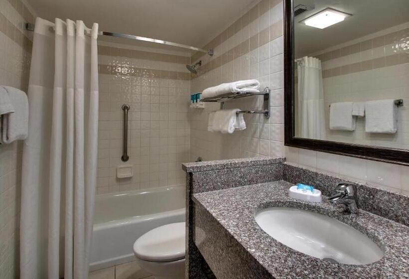 اتاق استاندارد با تخت بزرگ, Sonesta Essential Houston Hobby Airport