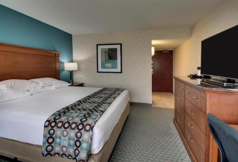 اتاق استاندارد با تخت بزرگ, Sonesta Essential Houston Hobby Airport