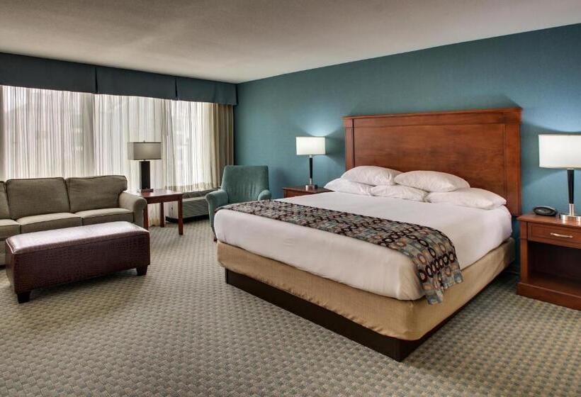 带大床的豪华间, Sonesta Essential Houston Hobby Airport