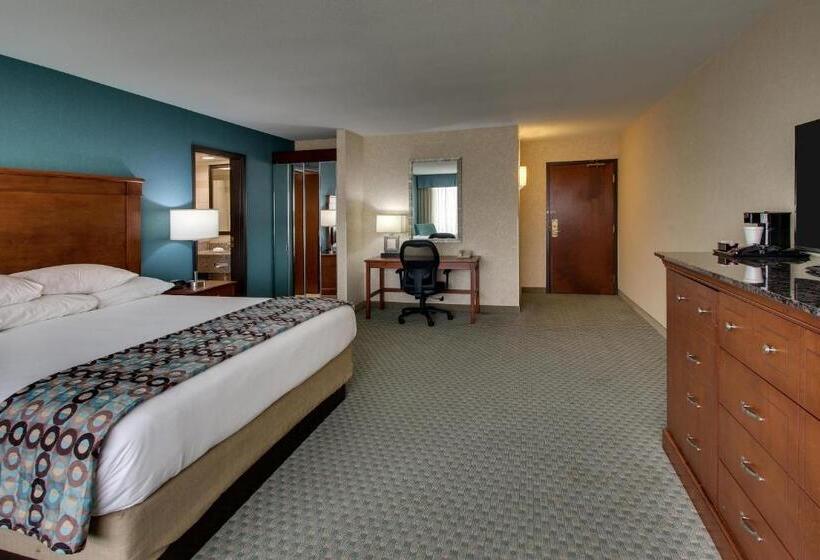 اتاق لوکس با تخت بزرگ, Sonesta Essential Houston Hobby Airport