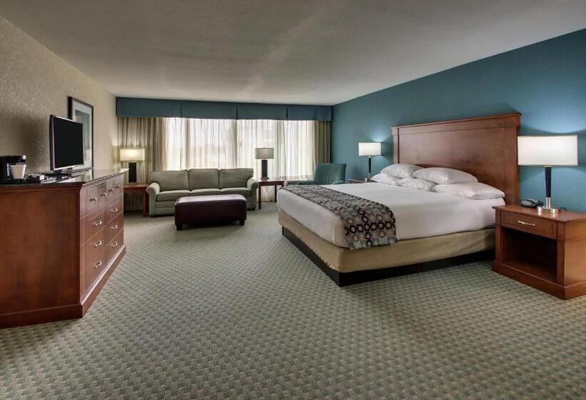 سوئیت با تخت بزرگ, Sonesta Essential Houston Hobby Airport