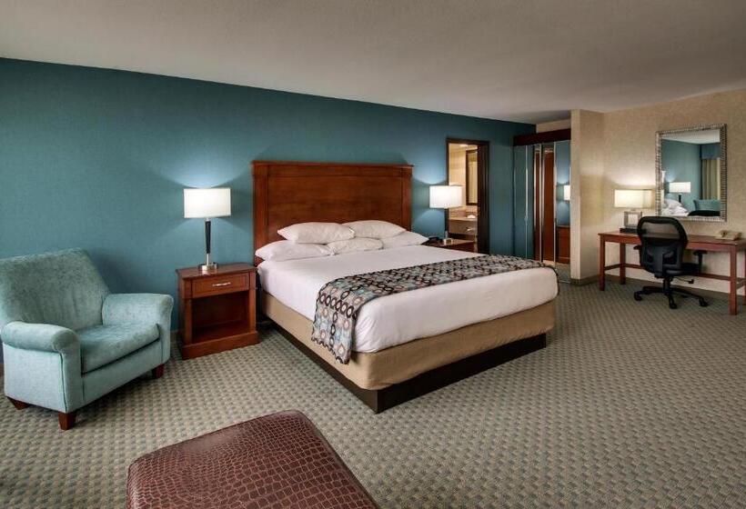 سوئیت با تخت بزرگ, Sonesta Essential Houston Hobby Airport