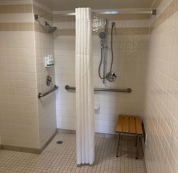 اتاق استاندارد با تخت بزرگ برای معلولان, Sonesta Essential Houston Hobby Airport