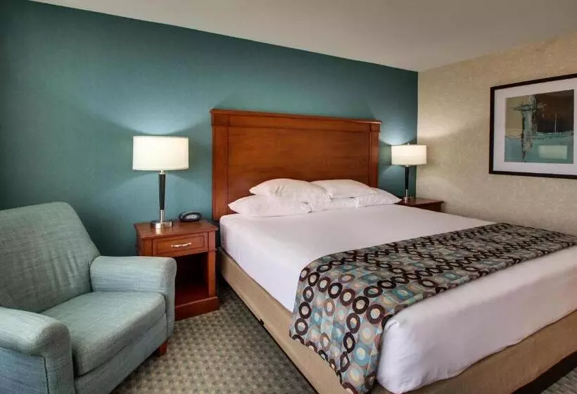 身障者適用キングサイズベッドルーム, Sonesta Essential Houston Hobby Airport
