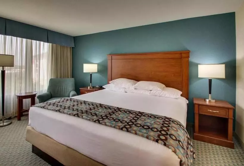 身障者適用キングサイズベッドルーム, Sonesta Essential Houston Hobby Airport