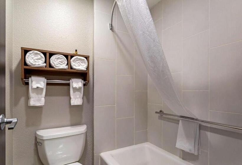 スタンダードルーム, Leblanc, Bw Signature Collection