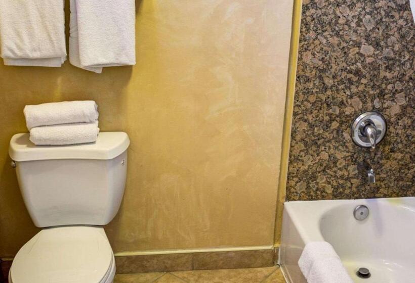 Стандартный Номер Кровать Кинг, Rodeway Inn Near Venice Beach