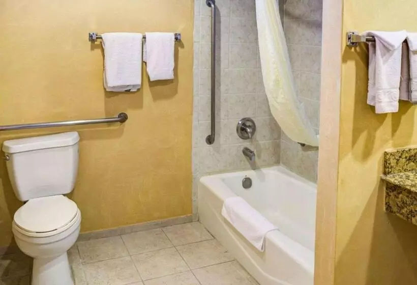 身障者適用スタンダードルーム, Rodeway Inn Near Venice Beach