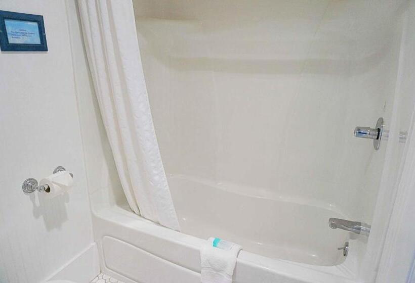 带大床的标准间, The Edgewater