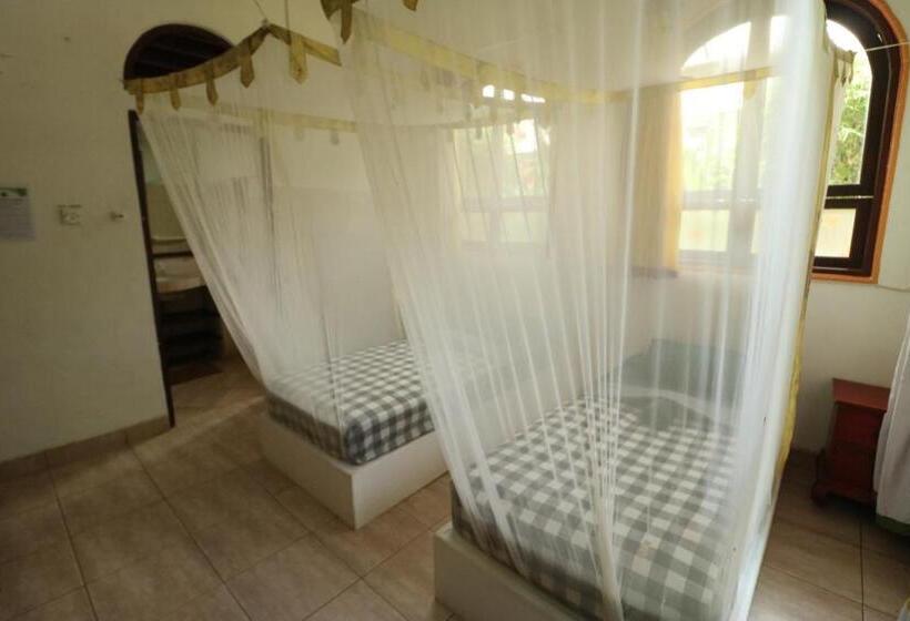 اتاق استاندارد, Serenity Eco Guesthouse   Chse Certified