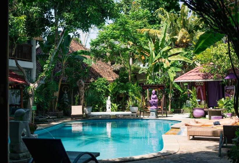 تختخواب در اتاق مشترک, Serenity Eco Guesthouse   Chse Certified