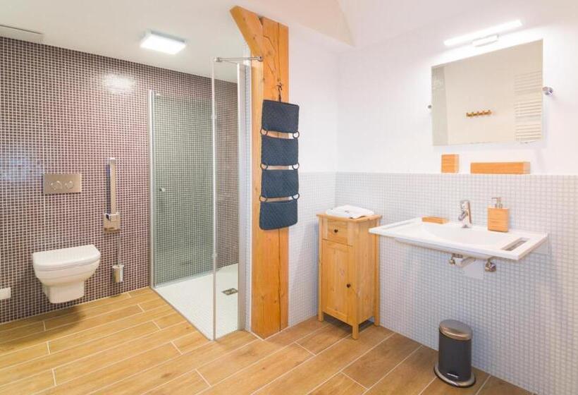 Апартаменты 1 Спальня с Видом, Alpenhotel Dahoam