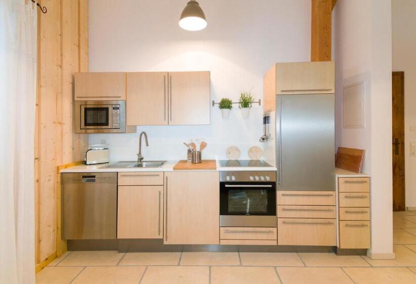 Апартаменты 1 Спальня с Видом, Alpenhotel Dahoam