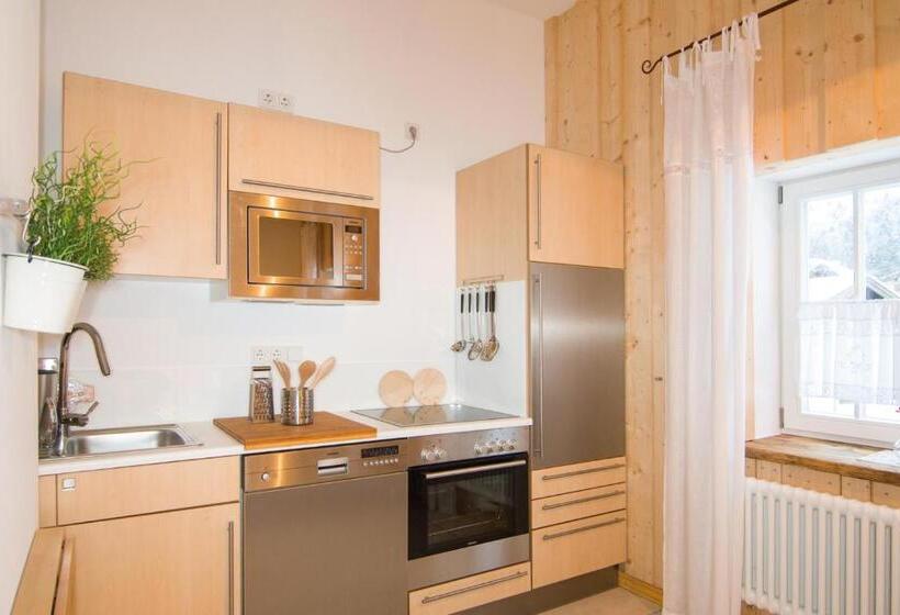 Апартаменты 1 Спальня с Видом, Alpenhotel Dahoam