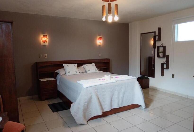 سوییت لوکس, Hospedaje Ajayu Sucre