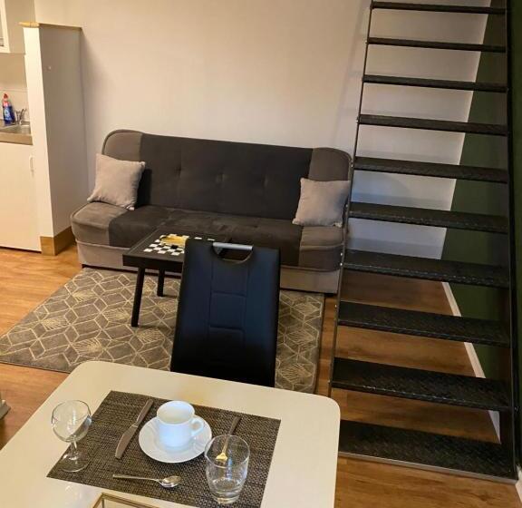 ドゥプレックスルーム, Pension Michelangelo